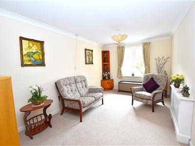 Picture 6